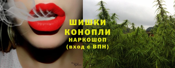 молекула духа Нея