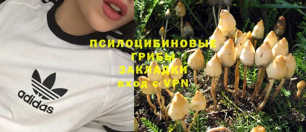 молекула духа Нея
