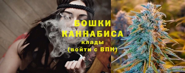ГАЛЛЮЦИНОГЕННЫЕ ГРИБЫ Балабаново
