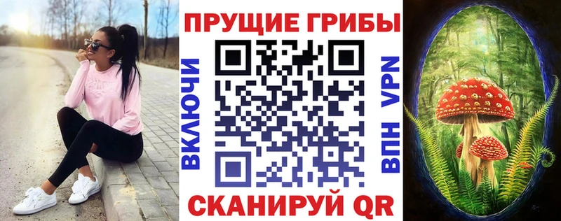 как найти закладки Кемь Галлюциногенные грибы прущие грибы